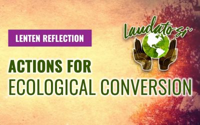 Lenten Reflection: Actions for Ecological Conversion