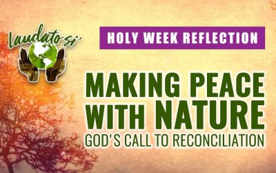 Making Peace with Nature: God’s Call to Reconciliation