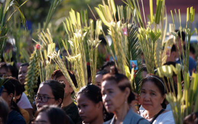 Palm Sunday and the Holy Week